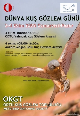 dunya-kus-gozlem-gunu-etkinlikleri