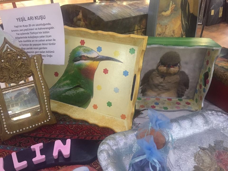 sanliurfa\nin-kuslari-ilham-kaynagi-oldu