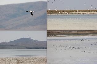 seyfe-golu\nun-gonullu-taniticisi