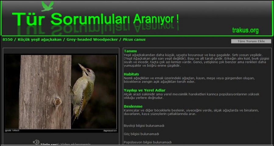 sahibinden-2--el-turler