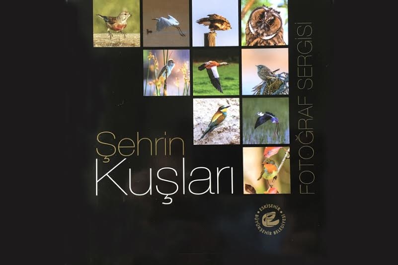 sehrin-kuslari-sergisi