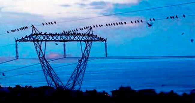 epdkdan-895-bin-liralik-gocmen-kus-butcesi