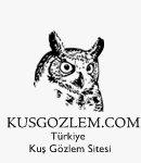 kusgozlem-com-acildi!