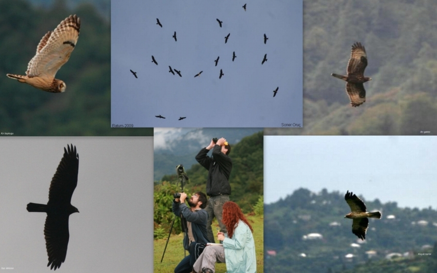 turk-kuscular-batumda-goc-izledi!