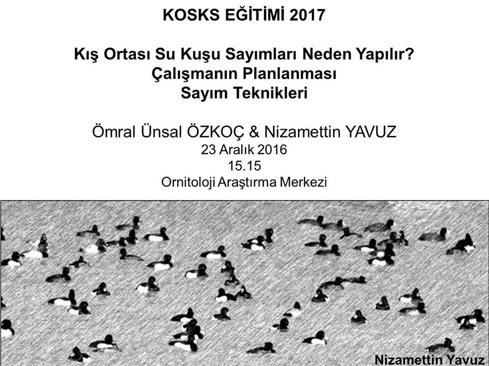 kosks-egitimi-2017