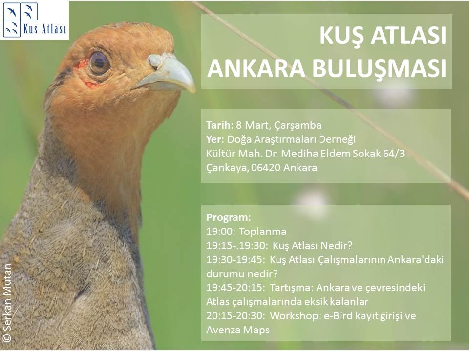 kus-atlasi-ankara-bulusmasi