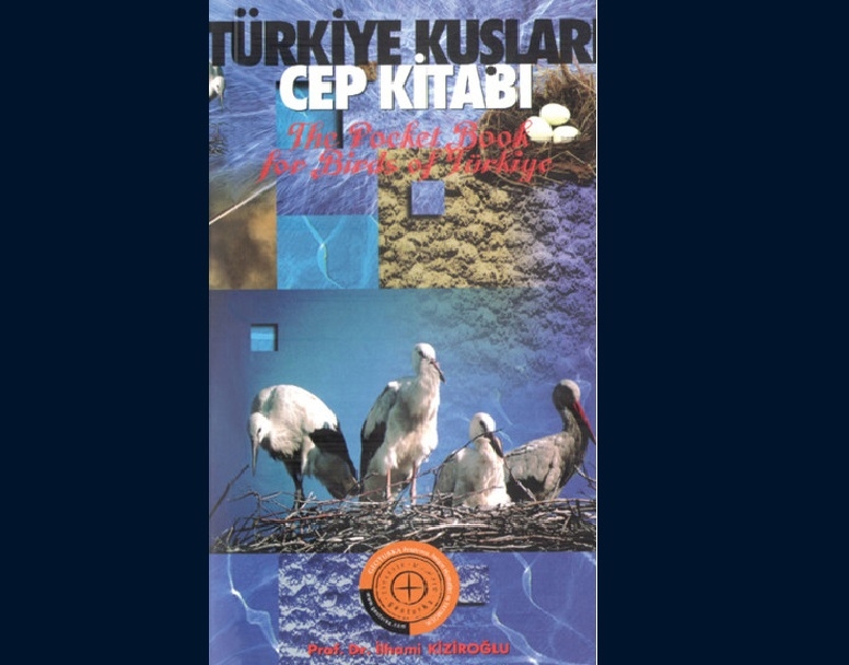 turkiyede-yasayan-kac-kus-adi-sayabilirsiniz