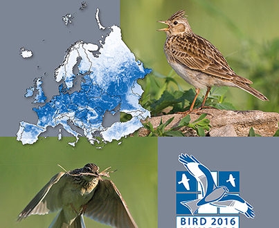 kus-atlasi-die-vogelweltde