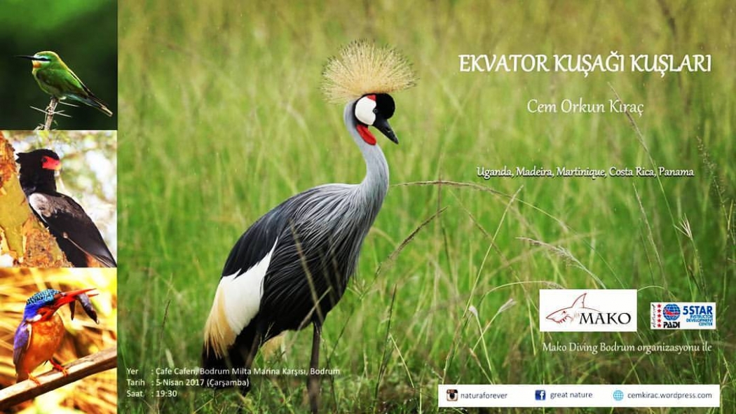 ekvator-kusagi-kuslari-sergisi	