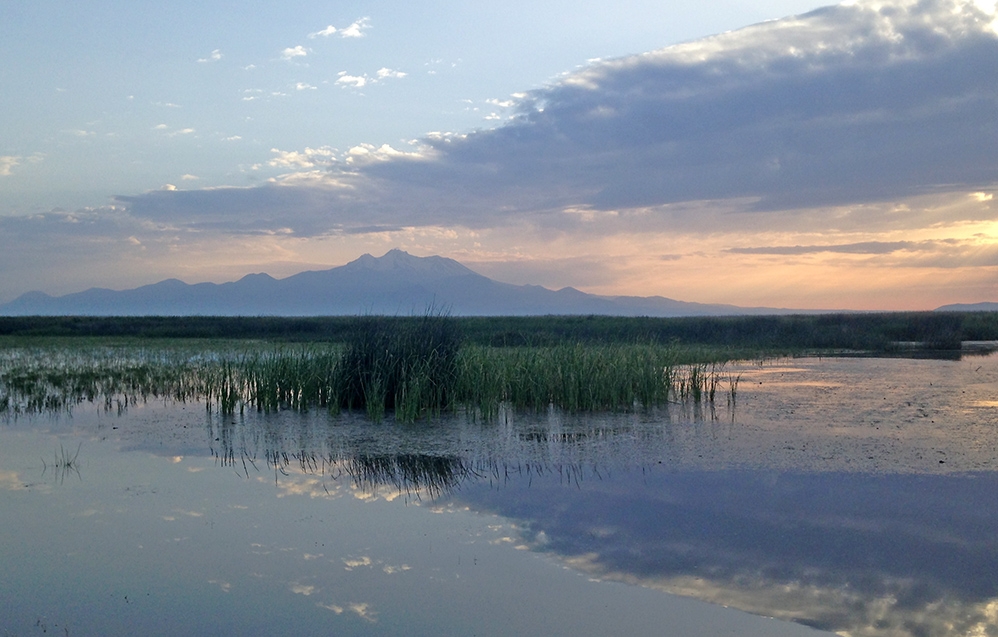 ramsar-sozlesmesi-ve-turkiye