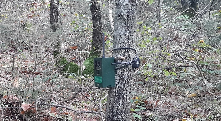 1581-fotokapan-yaban-hayati-icin-kayitta