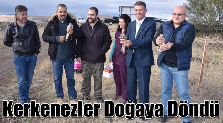 kerkenezler-dogaya-dondu-