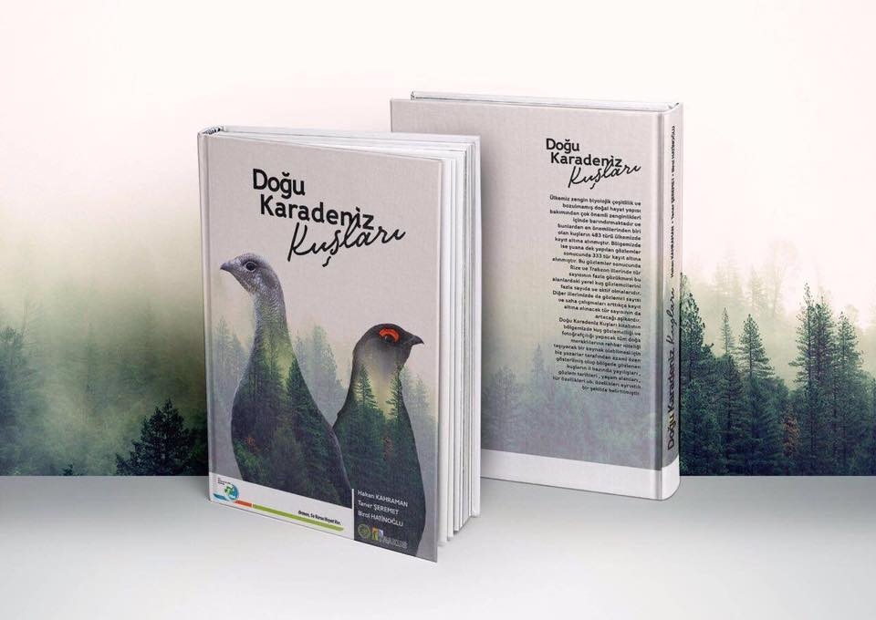 dogu-karadeniz-kuslari