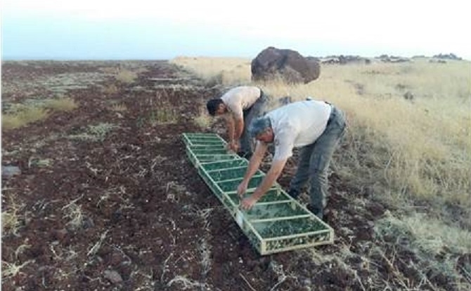 gaziantep\te-kus-kacakcisina-sucustu