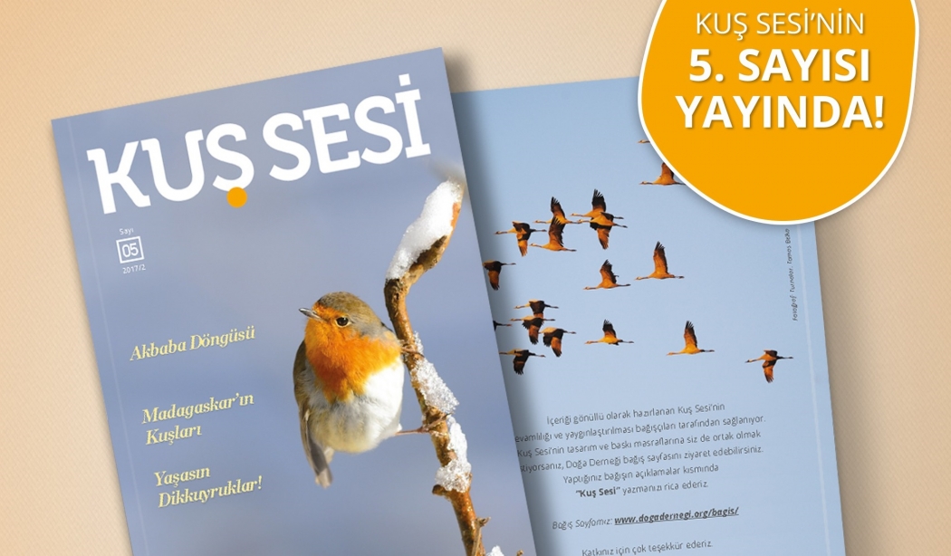 kus-sesi\nin-5--sayisi-yayinda