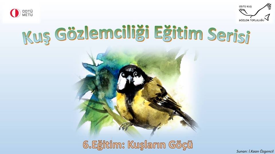 kus-gozlemciligi-egitim-serisi-6-egitim-kuslarin-gocu