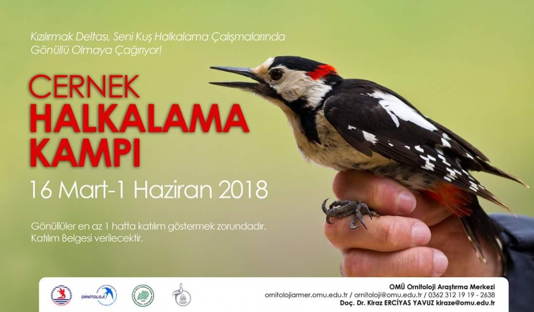 cernek-halkalama-kampi-gonullulerini-bekliyor