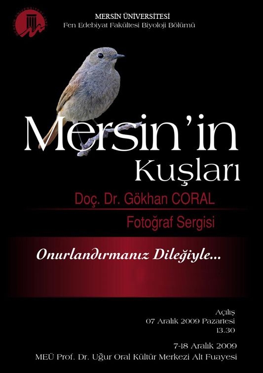 mersinin-kuslari-fotograf-sergisi