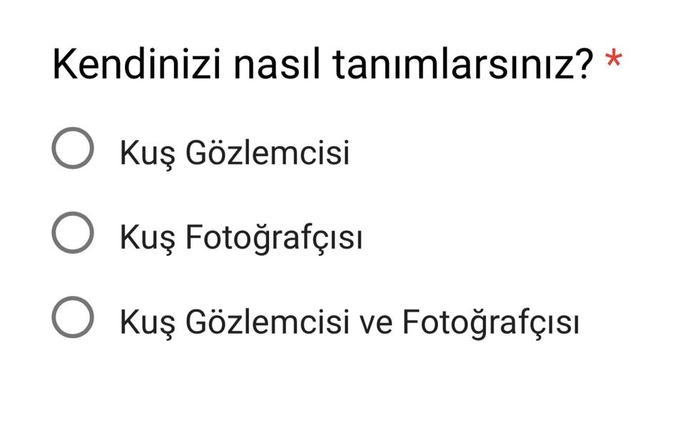 turkiye\deki-kus-gozlemcileri-ve-fotografcilarinin-profili