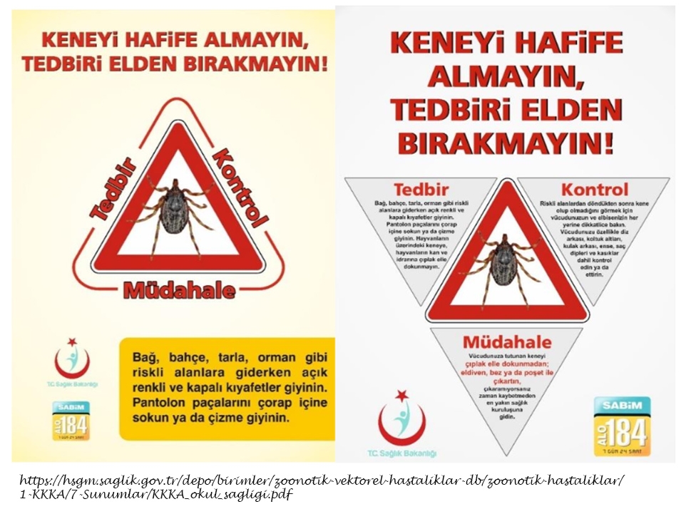 -gocmen-kuslardaki-kene-yeni-kanamali-ates-virusunu-tasiyabilir