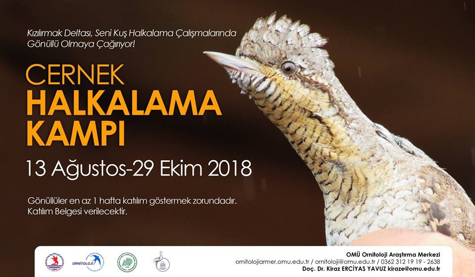 cernek-halkalama-kampi-yeni-donem