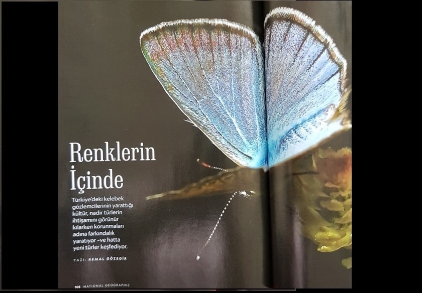 trakel-national-geographic-de