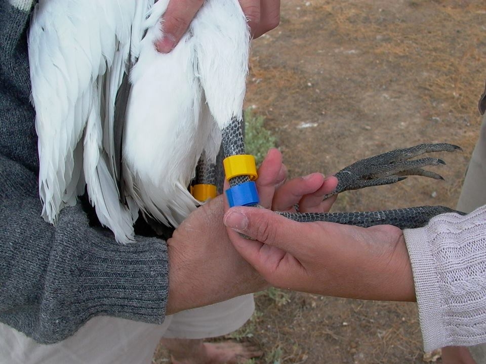 halkali-kasikci-kayitlari