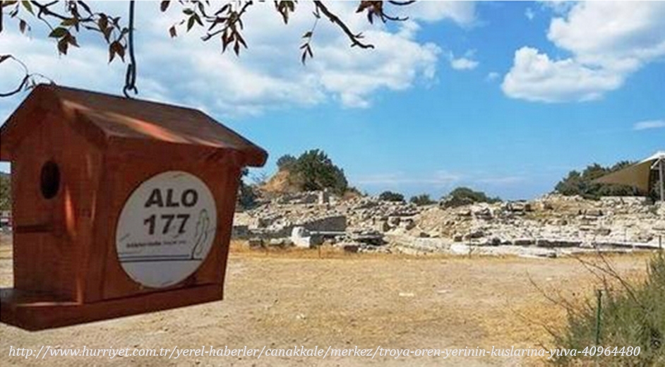 troya-ve-burdur\da-kuslar-icin-yuvalar-yerlestirildi