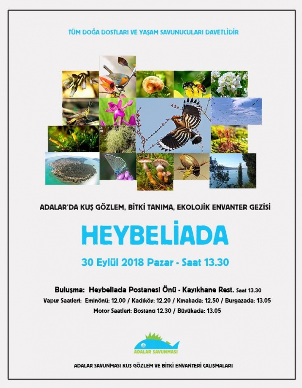 heybeliadada-yuruyus-ve-gozlem