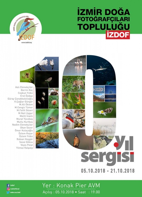 izdof-10--yil-sergisi