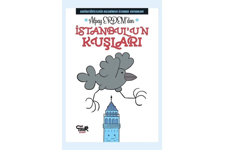 alpay-erdem--istanbul\un-kuslari