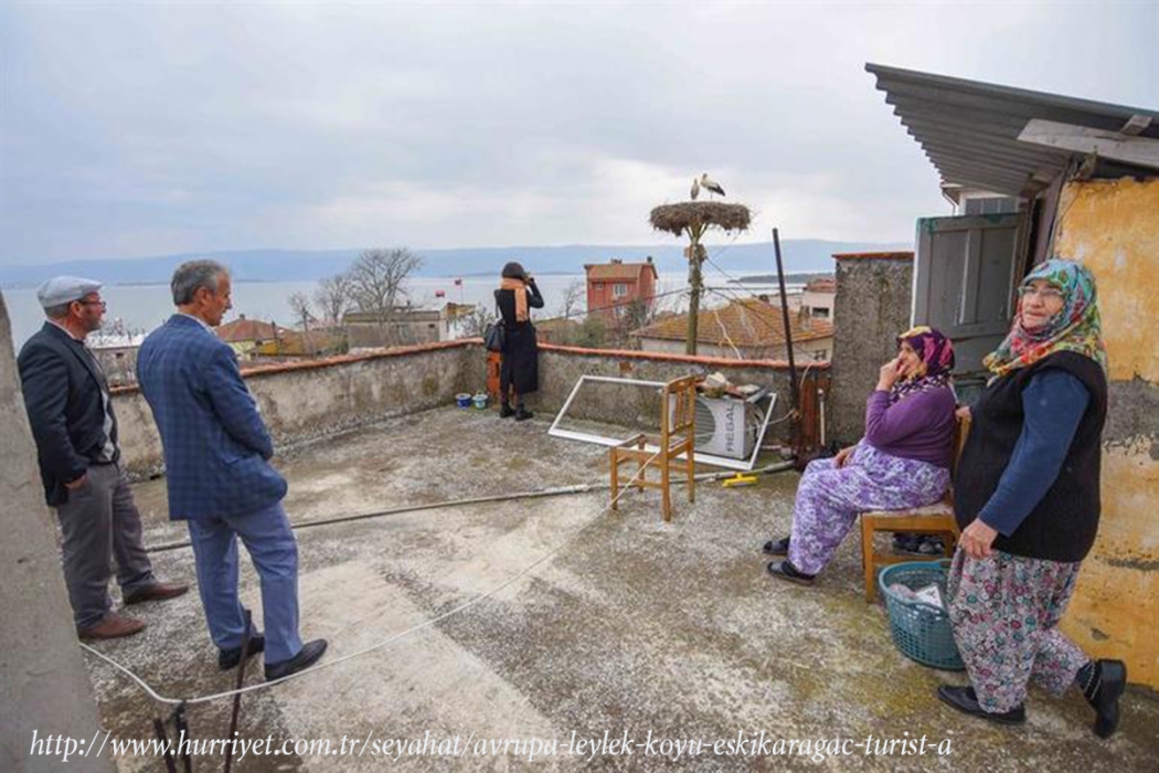 avrupa-leylek-koyu-eskikaraagac-turist-akinina-ugruyor