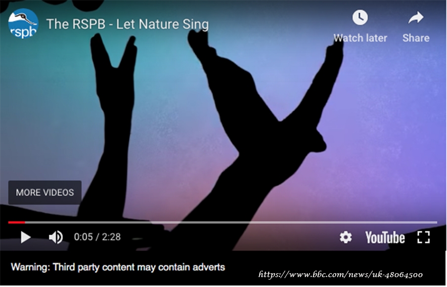 rsbp\den--britanya\nin-azalan-kuslarina-dikkat-cekmek-icin-muzik-bandi