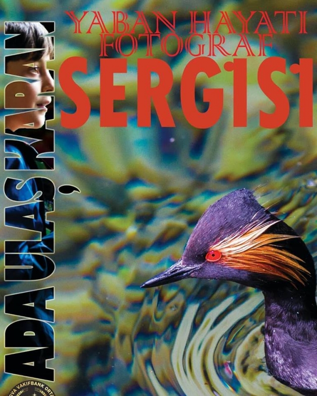 ada-ulas-tan-sergi