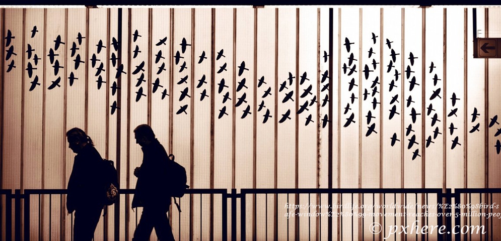 \`kuslara-guvenli-cam\`-hareketi-5-milyon-kisiye-ulasti