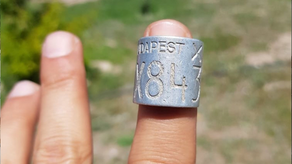 macaristanin-en-yasli-leylegi-eskisehir\de-elektrik-teline-takilarak-oldu