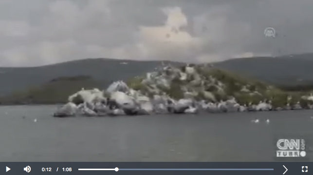 binlerce-kus-goc-icin-hazirlaniyor--cildir-golu