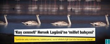 hersek-lagunu-ne-millet-bahcesi-yapilacak--turkiye-nin-en-buyugu