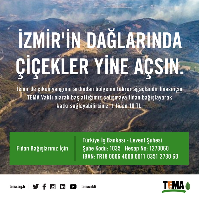 izmir\in-daglarinda-cicekler-yine-acsin