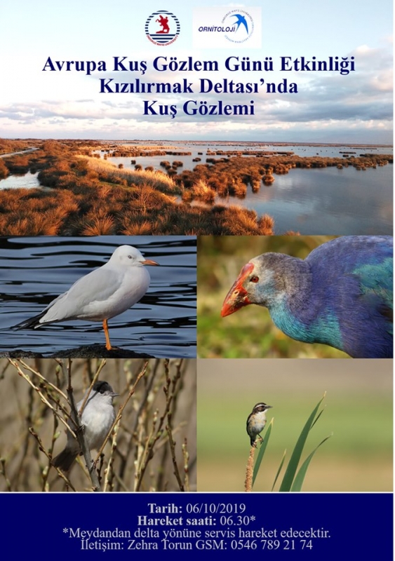 kizilirmak-deltasi-nda-kus-gozlemi-	