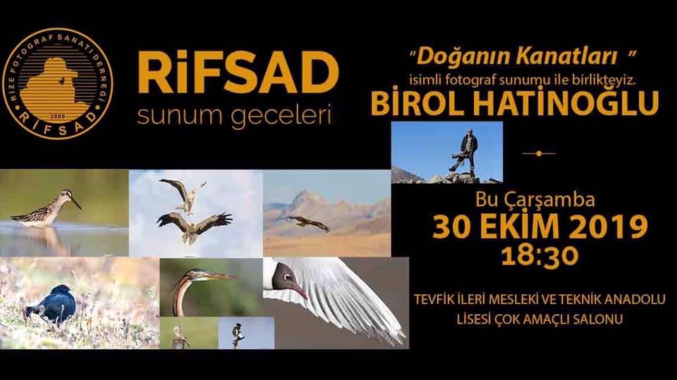 doga-nin-kanatlari-