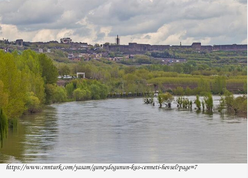 guneydogu\nun-kus-cenneti-hevsel