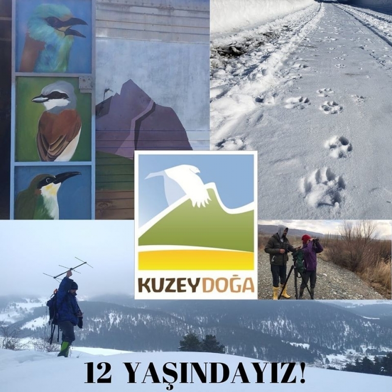 kuzeydoga-12-yasinda!