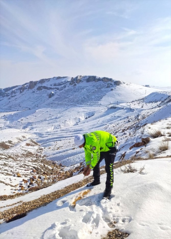 darende\de-yabani-kuslar-icin-dogaya-yem-birakildi