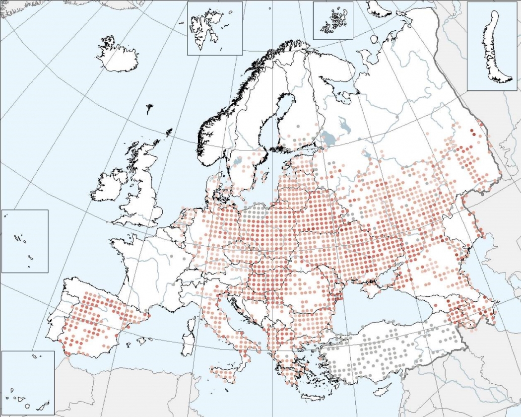 ikinci-avrupa-ureyen-kus-atlasi-tamamlanmak-uzere!