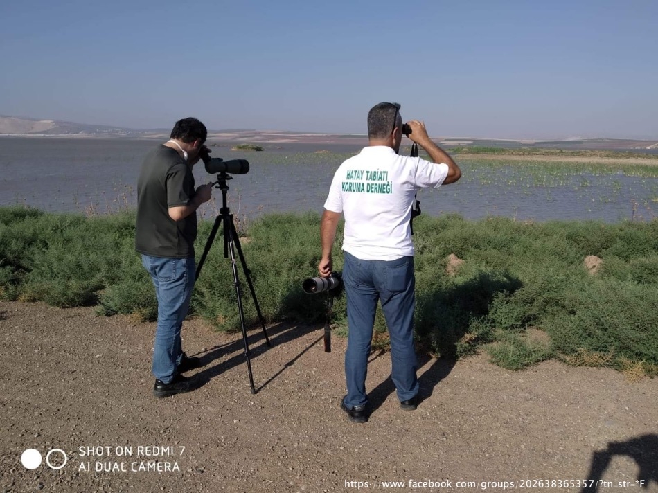 hatay\in-yeni-kus-cenneti-doguyor