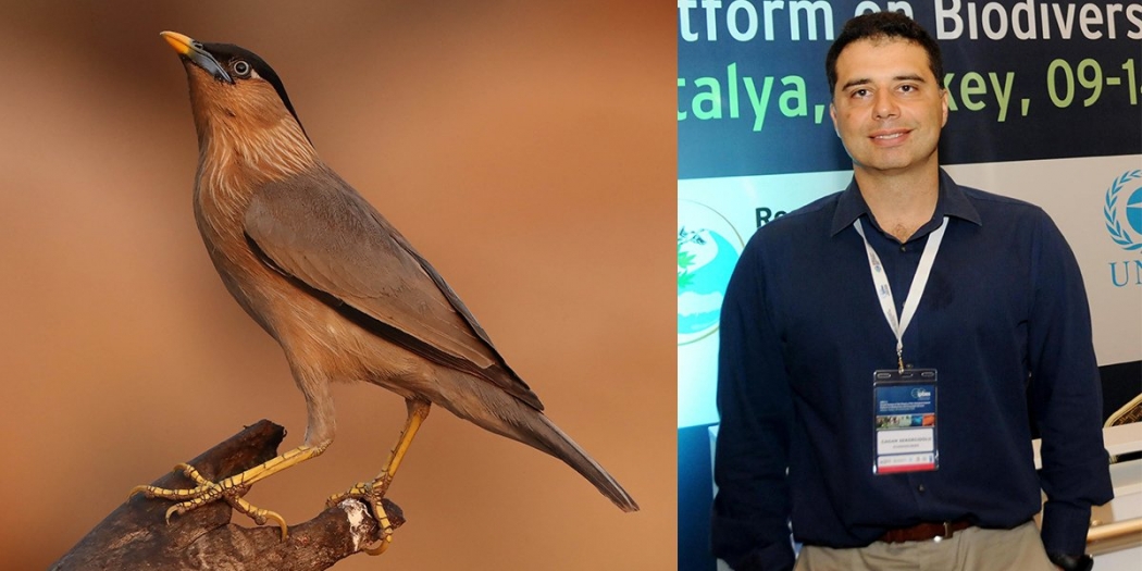 2020de-dunyada-en-cok-kus-turunu-bir-turk-gordu