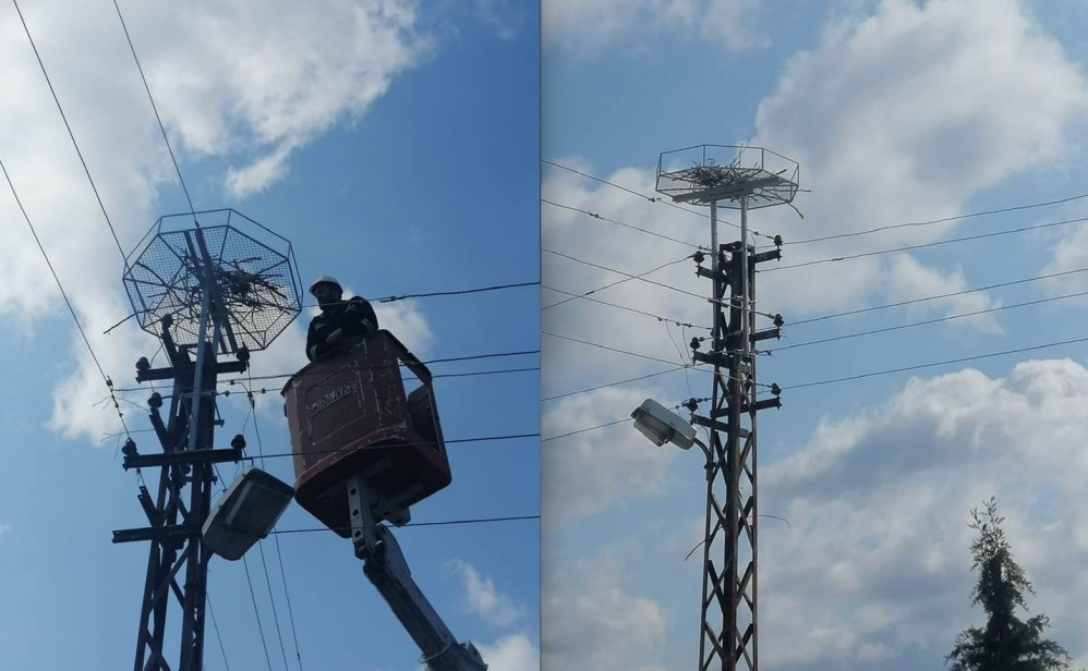 kirklareli\de-guvenli-leylek-platformlari-yerlestirildi