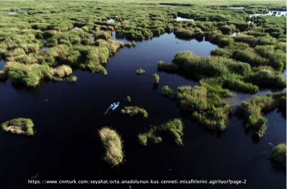 orta-anadolunun-kus-cenneti-misafirlerini-agirliyor