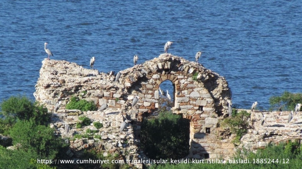 sular-cekildi-kurt-istilasi-basladi!